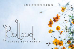 Bulleud: A Premium Script Font for Creative Campaigns