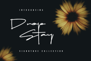 Drop Stay Font for Elegant Design