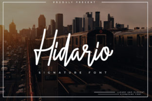 Hidario: The Signature Script Font for Campaign Design