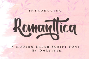Romanttica: A Modern Handwritten Font for Business